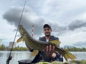 Northern Pike