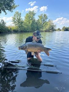 Mirror Carp