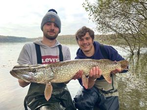 Northern Pike