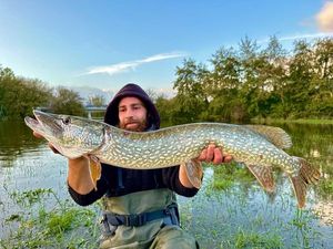 Northern Pike