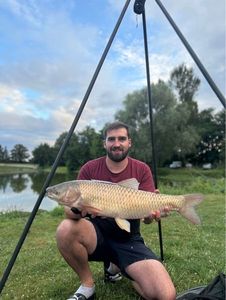 Grass Carp