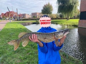 Northern Pike