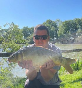 Mirror Carp