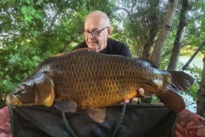 Common Carp