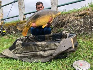 Mirror Carp