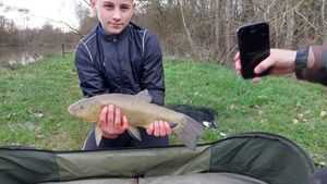 Tench
