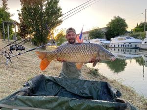 Common Carp
