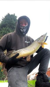 Northern Pike