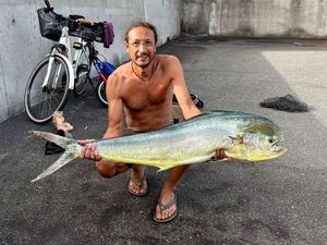 Dolphinfish