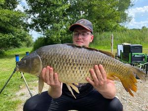 Common Carp
