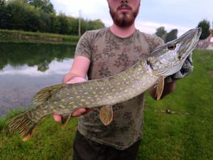 Northern Pike