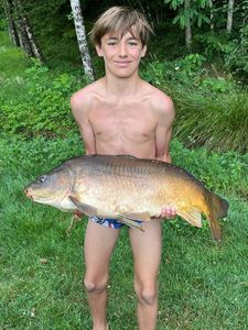 Mirror Carp
