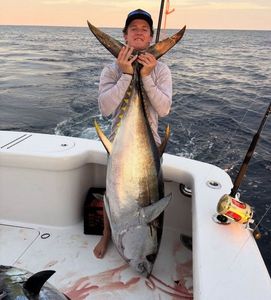 Bigeye Tuna (Pacific)
