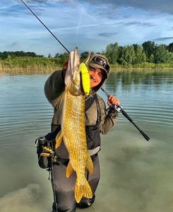 Northern Pike