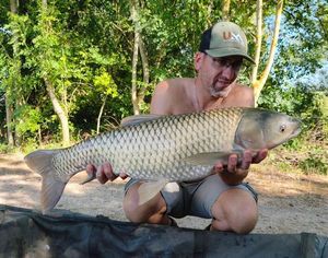 Grass Carp