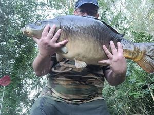 Leather Carp