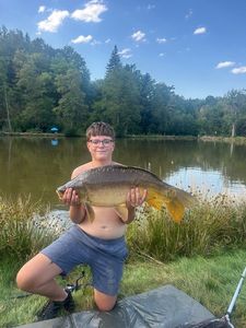 Mirror Carp