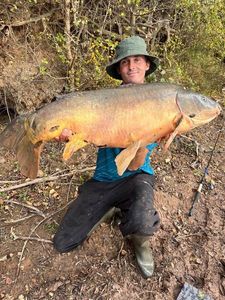 Mirror Carp