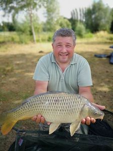 Common Carp