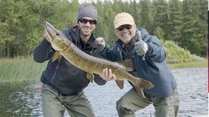 Northern Pike