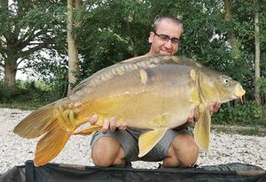 Mirror Carp