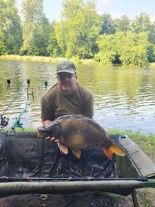 Mirror Carp