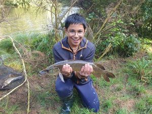 Northern Pike