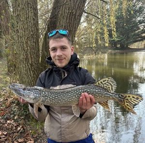 Northern Pike