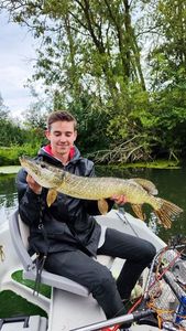 Northern Pike