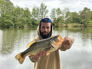 Largemouth Bass