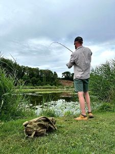 Largemouth Bass