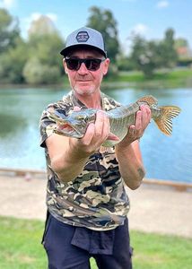 Northern Pike