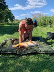 Mirror Carp