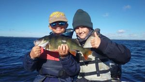 European Perch