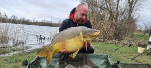 Mirror Carp