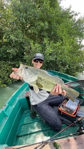 Largemouth Bass