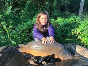 Mirror Carp