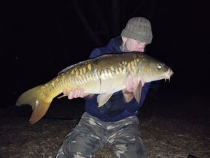 Mirror Carp