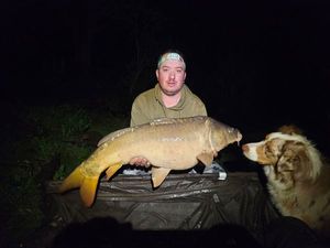 Mirror Carp