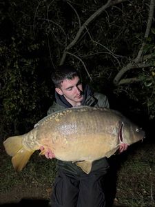 Mirror Carp