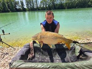 Mirror Carp