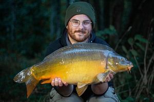 Mirror Carp