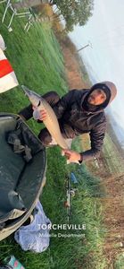 Sturgeon