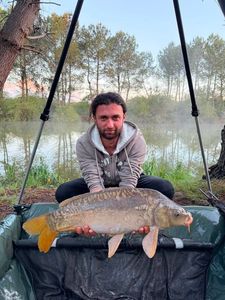 Leather Carp