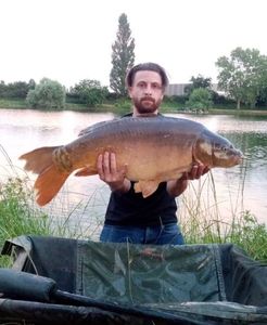 Mirror Carp