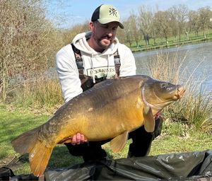 Mirror Carp