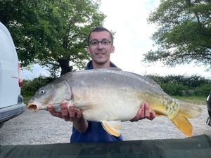 Mirror Carp