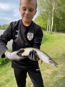 Northern Pike