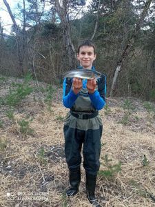 Rainbow Trout