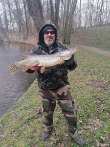 Northern Pike